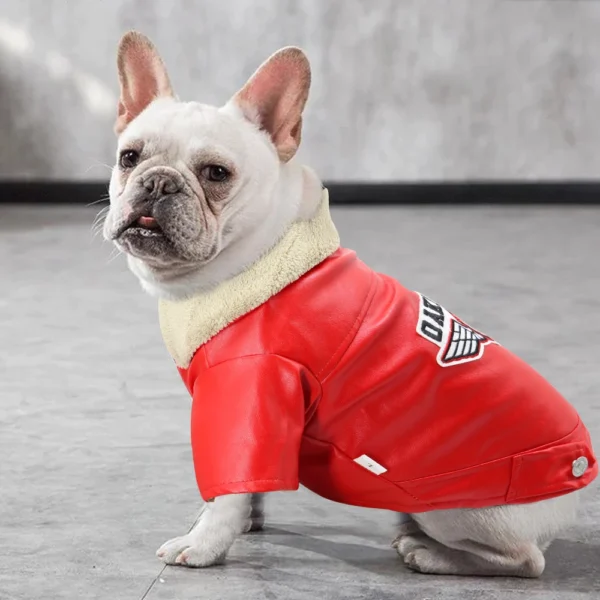 Cool Dog Leather Jacket Coat Warm Winter Pet Clothing Outfit French Bulldog Clothes Coats for Small Medium Dogs - Görsel 4