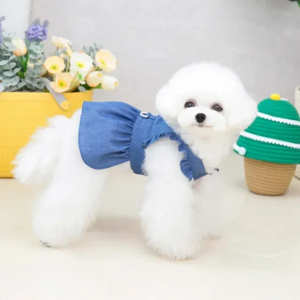 Spring Summer Little Dog Cat Dog Dog Dress Rookie Letters Z 'Anne Rainbow Dress Chow Woo - Görsel 2