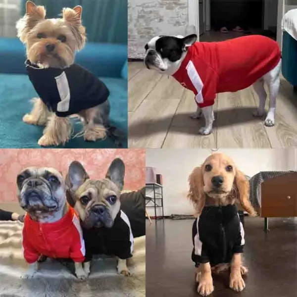 Baseball Dog Jacket Winter Dog Clothes for Small Mid Dogs Puppy Pet Vest French Bulldog Sweatshirt Chihuahua Pug Coat with Logo - Görsel 3