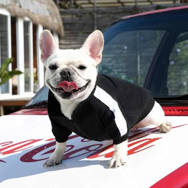 Baseball Dog Jacket Winter Dog Clothes for Small Mid Dogs Puppy Pet Vest French Bulldog Sweatshirt Chihuahua Pug Coat with Logo - Görsel 4