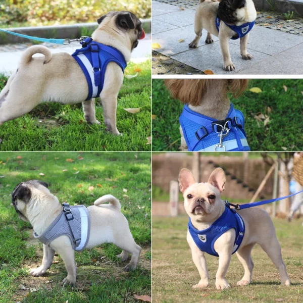 Quality Dog Harness And Leash Set Dog Accessories For Small Dog Chest Harness Dog Leash French Bulldog Pug Medium Pet Supplies - Görsel 2
