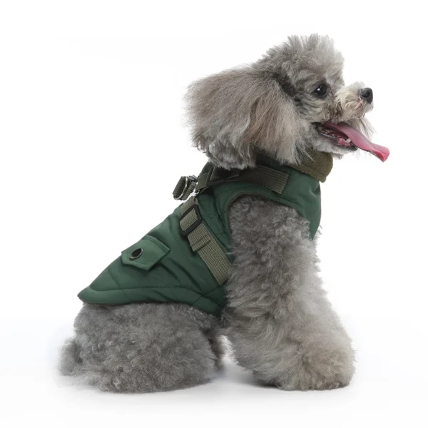 Pet Dog Jacket with Harness Winter Pet Dog Coat Comfortable Windproof Red with Zipper for Small Medium Large Dogs - Görsel 4