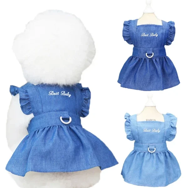 Spring Summer Little Dog Cat Dog Dog Dress Rookie Letters Z 'Anne Rainbow Dress Chow Woo - Görsel 4