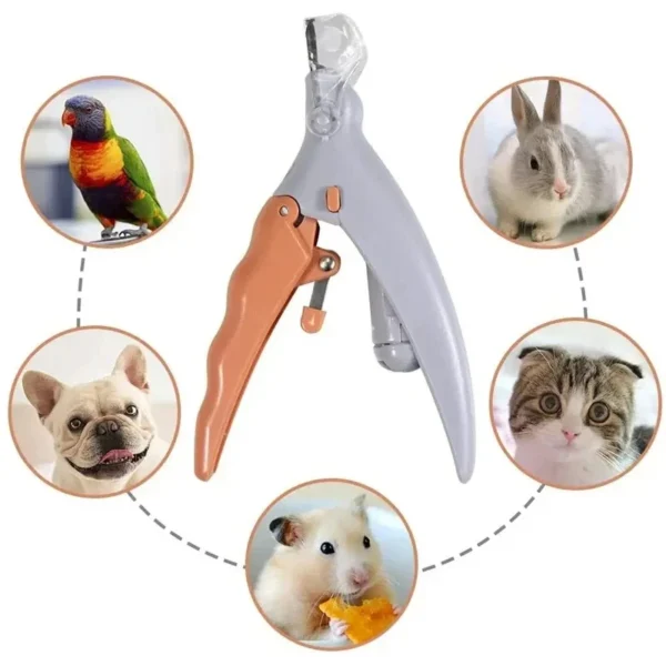 Professional Pet Nail Clipper Scissors With LED Light Cat Dog Nail Clippers Tool Scissors Nail Toeclaw Cutter Scissors Pet Suppl - Görsel 2