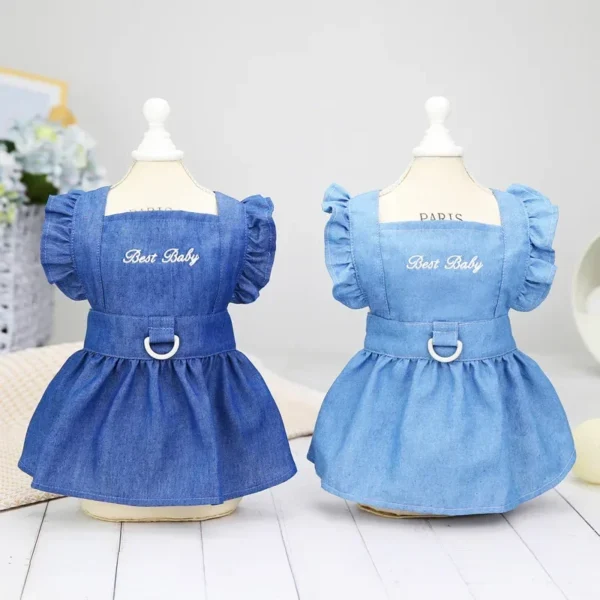 Spring Summer Little Dog Cat Dog Dog Dress Rookie Letters Z 'Anne Rainbow Dress Chow Woo - Görsel 3
