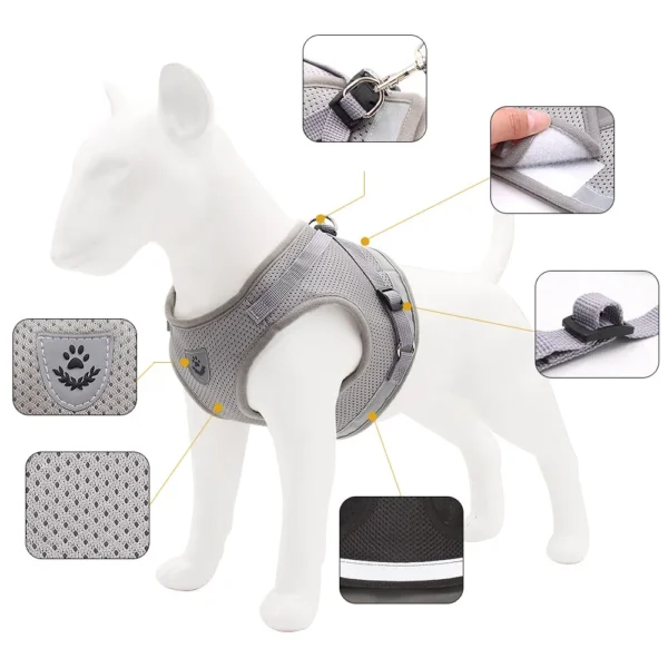 Quality Dog Harness And Leash Set Dog Accessories For Small Dog Chest Harness Dog Leash French Bulldog Pug Medium Pet Supplies - Görsel 3