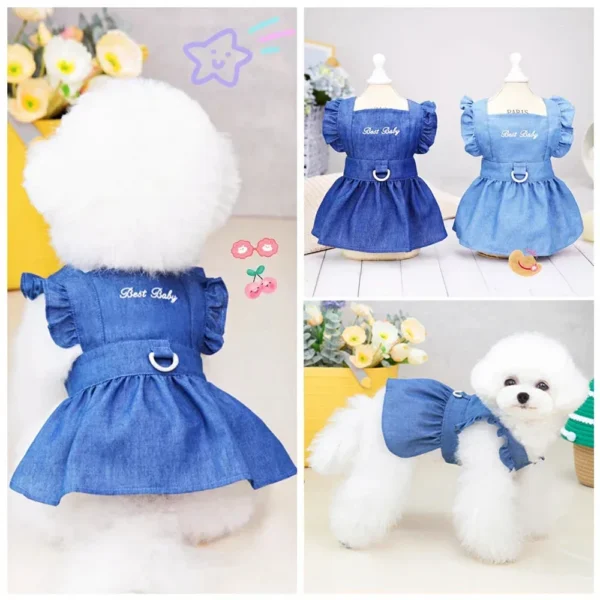 Spring Summer Little Dog Cat Dog Dog Dress Rookie Letters Z 'Anne Rainbow Dress Chow Woo